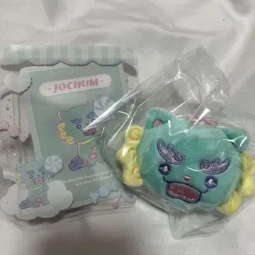 JOCHUM 제오참 야누카미 시크릿 브로치 경질 카드 케이스