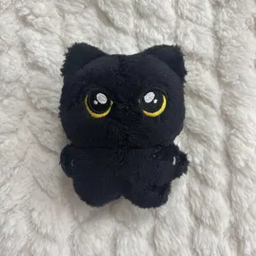 ENHYPEN 제이 마스터 인형 10cm