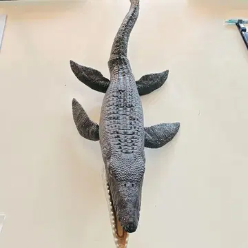 리얼한 생물 모형 길이 약 73cm 그레이
