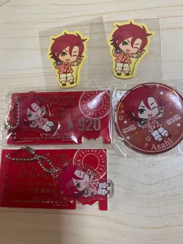 프리파라 파라다이스 기차 아사히 묶음 판매