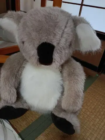 코알라 봉제 인형 약 30cm