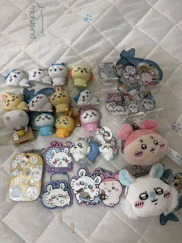 치이카와 (먼작귀) 모몽가 다수 묶음 판매