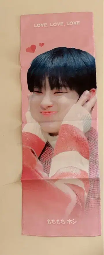 세븐틴 호시 슬로건