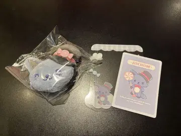 레인 JOCHUM 경질 카드 케이스 브로치