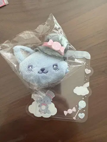 JOCHUM 레인 경질 케이스 브로치