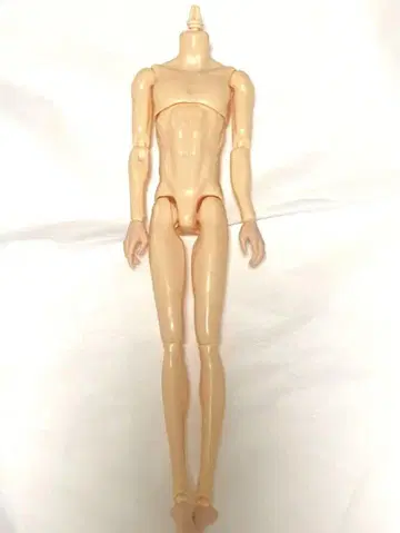 6분의1 남자 도감 바디만