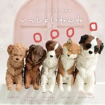 함께 잠들어요 - 강아지 -