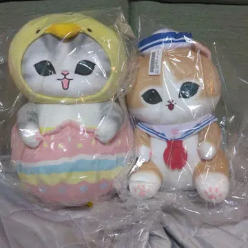 100 size 무제한 담기 2명 한정판 가예약