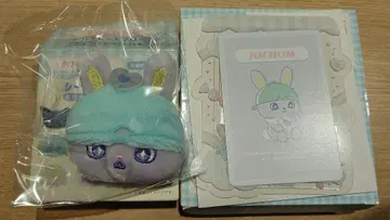 치맛 JOCHUM 제오참 캔디 경질 케이스 & 브로치