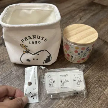 SNOOPY 스퀘어박스 조인트 프리 케이스 컨테이너 묶음 판매