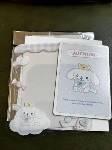 JOCHUM 캔디 디자인 시리즈 RURU 루루 경질 카드 케이스