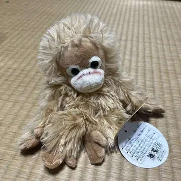 베이비 코코 봉제 인형