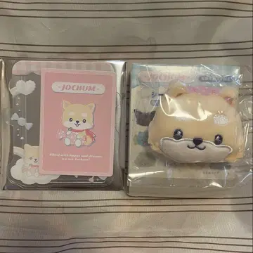 마메치이 제오참 경질 케이스 브로치
