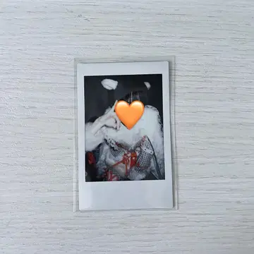 러브식 타로 폴라로이드