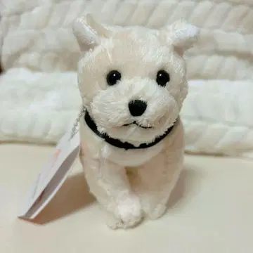 충견 하치코 국립과학박물관