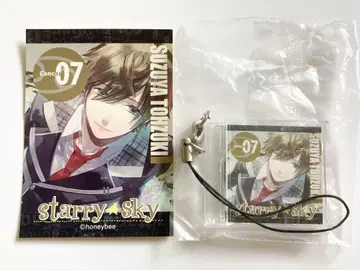 Starry Sky 미니어처 디스크 컬렉션 스티커 토즈키 스즈야