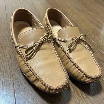 마드라스사 MODELLO