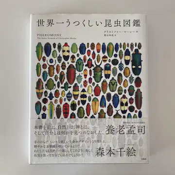 세계에서 가장 아름다운 곤충 도감