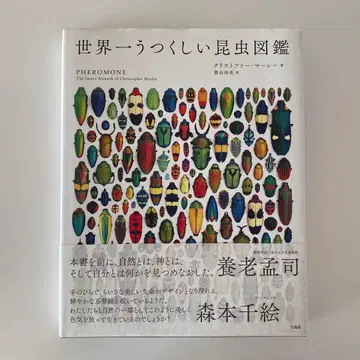 세계에서 가장 아름다운 곤충 도감