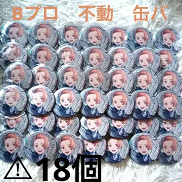 B프로 후도 아키미츠 캔뱃지 이타백 A4 supernova 18개