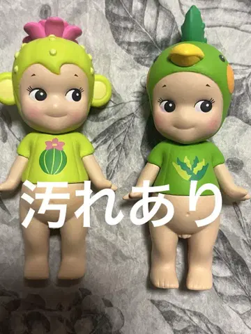 소니 엔젤 선인장 원숭이 앵무새