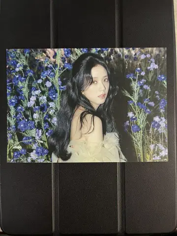BLACKPINK 지수 JISOO 공식 팬클럽 크리스마스 혜택