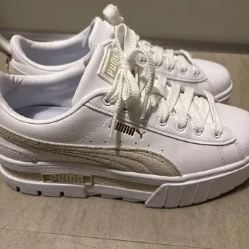 PUMA 푸마 여성용 스니커즈 통굽 MAYZE 메이즈 가죽