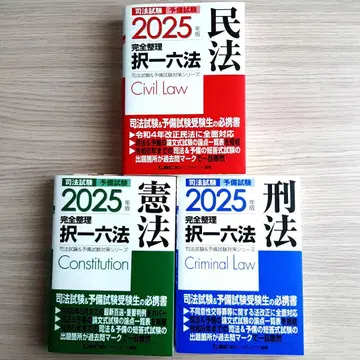 2025년판 사법시험&예비시험 완전정리택일육법 헌법 민법 형법 3권 세트