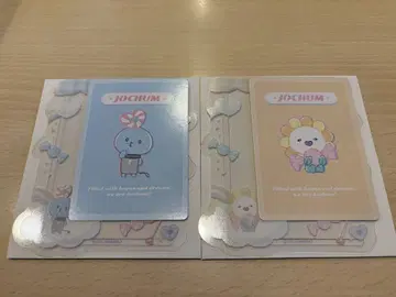 JOCHUM 마이크 Bira 경질 케이스