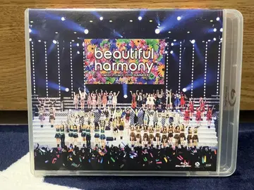 beautiful harmony 2019 SUMMERS 할로콘