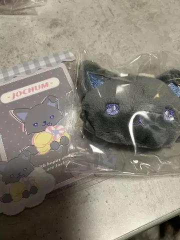 JOCHUM 피 하이 경질 케이스 브로치