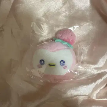 JOCHUM 시크릿 브로치