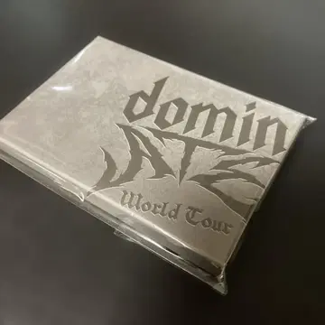 Stray Kids domin World Tour 업그레이드 카드 세트