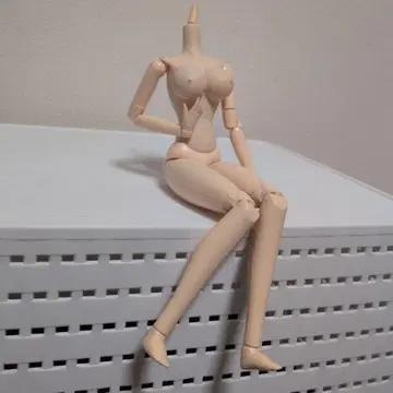 인형 바디