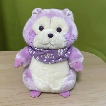 너구리 라스칼 봉제 인형