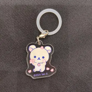 당신을 생각하는 리락쿠마 메지루시 참 코리락쿠마 1