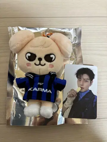 straykids KARMA 앨범 키링 퍼핌