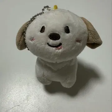 RIIZE 라이즈 앤톤 몽룡이 마스코트