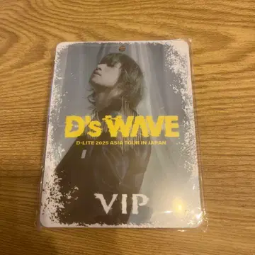D-LITE 2025 아시아 투어 VIP 패스