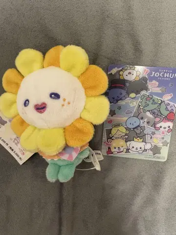 Bira JOCHUM x Sanrio 제오참 마스코트 키링