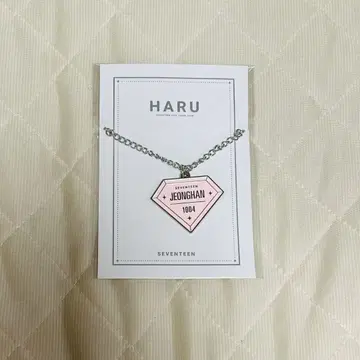SEVENTEEN HARU 키링 정한