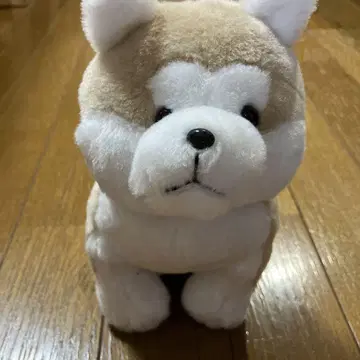 시부야 하치코 봉제 인형