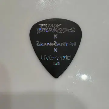 8/11 CANNONBALL UVERworld 카츠야 씨 피크