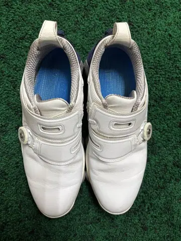 풋조이 FOOT JOY 55519J 골프화 투어알파