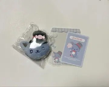JOCHUM 레인 브로치 경질 카드 케이스 & 카드