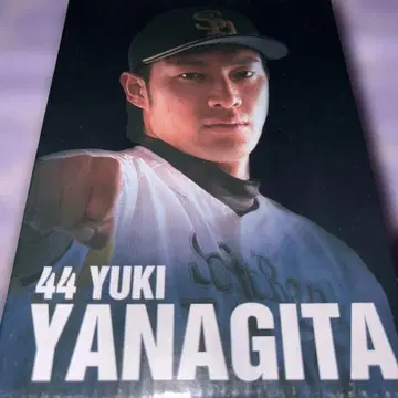 야나기타 유키 보블헤드 2014