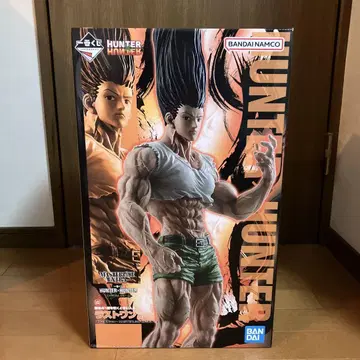 HUNTER x HUNTER 곤 ~성장 ver~ 피규어 라스트 원상