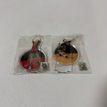 VNL 히나타 쇼요 코즈메 켄마 아크릴 스탠드