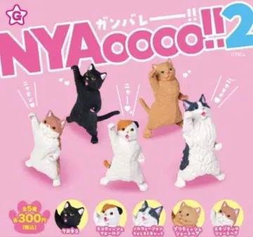 간바레!! NYAoooo!! 2 전5종 세트