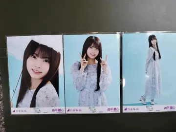 모리히라 라이신 한여름 전국 투어 2025 special 브로마이드 컴프